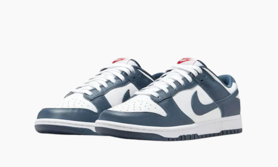 Nike Dunk Low Retro Valerian Blue